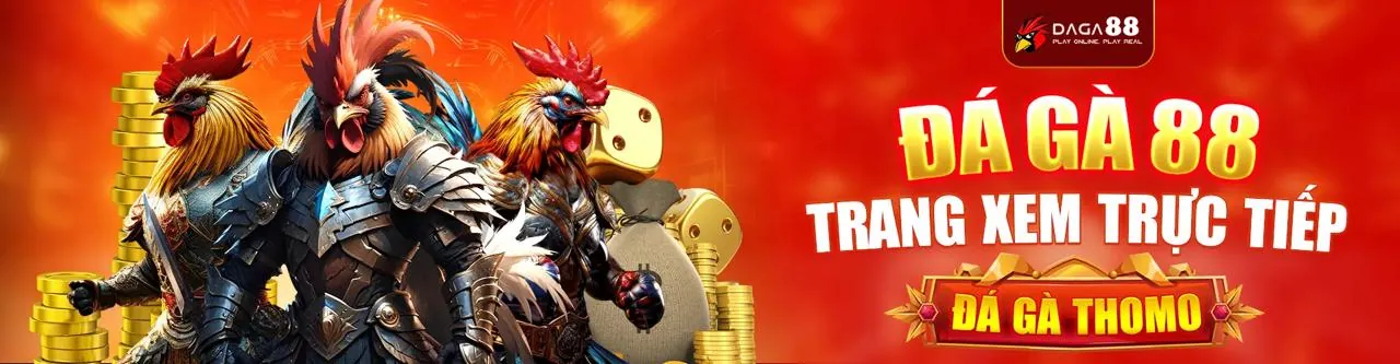 Sân đá gà trực tuyến jj8 code